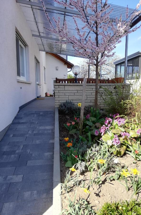 Ferienhaus Rauwolf Mit 2 Ferienwohnungen Roschbach Eksteriør billede